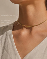 The Salt Chain thumbnail 6