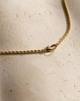 The Salt Chain thumbnail 8