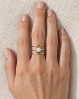 The Shell Signet thumbnail 5