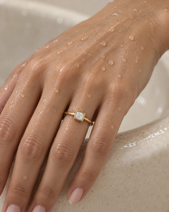 The Shell Signet — 6
